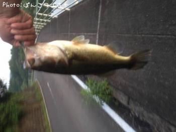 ¥Ö¥é¥Ã¥¯¥Ð¥¹