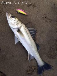 �����Х�