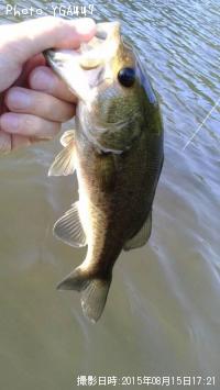 �֥�å��Х�