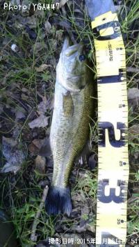 �֥�å��Х�