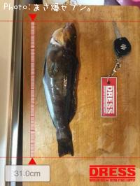 �����ʥ�