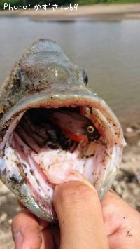 �֥�å��Х�