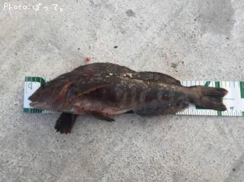 �����ʥ�