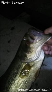 ¥Ö¥é¥Ã¥¯¥Ð¥¹