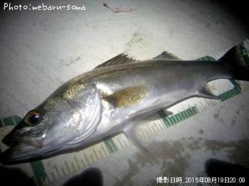 �����Х�