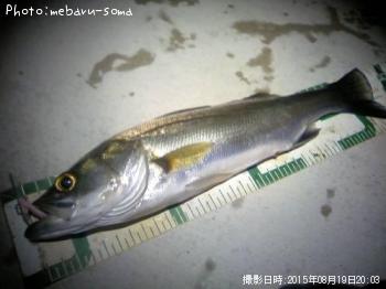 �����Х�