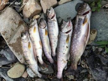 ��ޥ�������