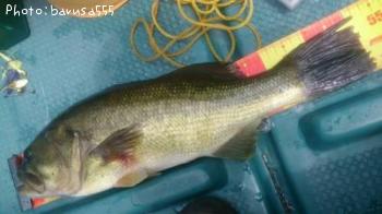 �֥�å��Х�