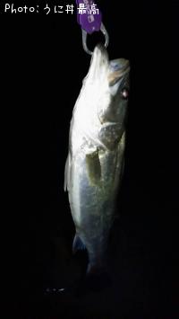 �����Х�