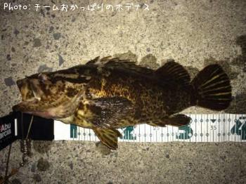 �����Υ���Х�