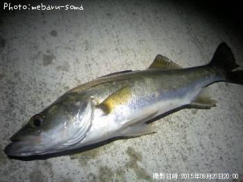 �����Х�