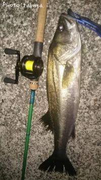 �����Х�