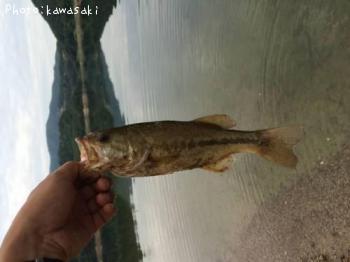 �֥�å��Х�