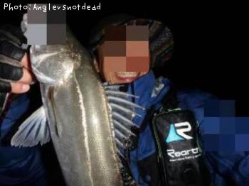 �����Х�