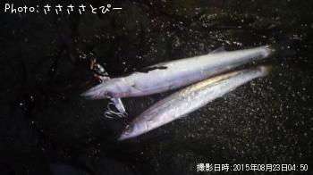 �參�������С����ޥ�