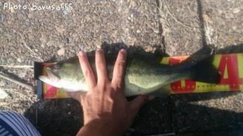 �֥�å��Х�