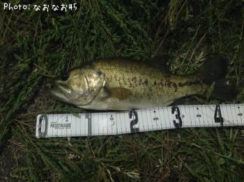 ¥Ö¥é¥Ã¥¯¥Ð¥¹