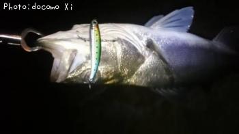 �����Х�