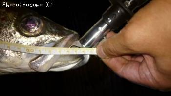 �����Х�