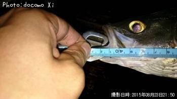 �����Х�