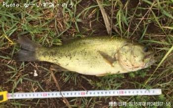 �֥�å��Х�