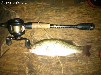 �֥�å��Х�