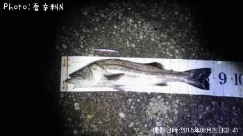 �����Х�