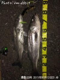 �����Х�