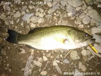 �֥�å��Х�