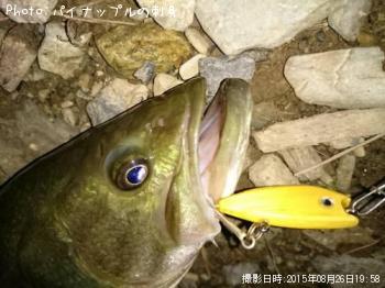 �֥�å��Х�