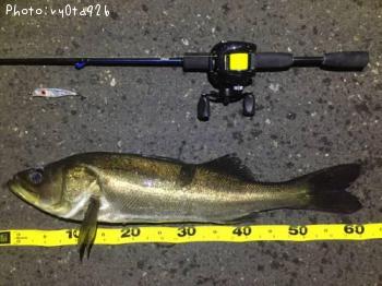 �����Х�