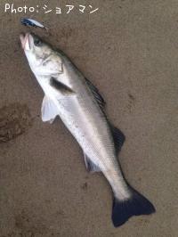 �����Х�