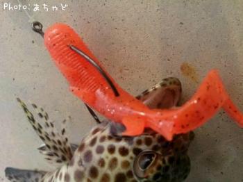 �����ߡ��Х��ڥ�����ϥ���