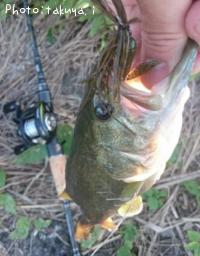 �֥�å��Х�