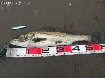 �����ե����Х�