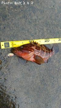 �����ϥ�