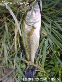 �֥�å��Х�