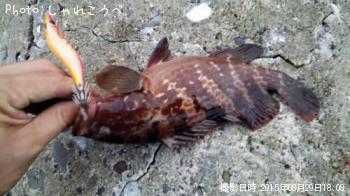 �����ϥ�