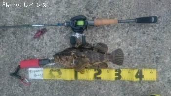 �����Υ���Х�