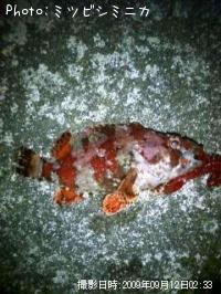 �������Х�