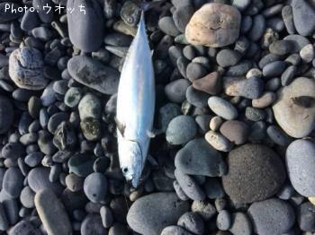 ���������ĥ�