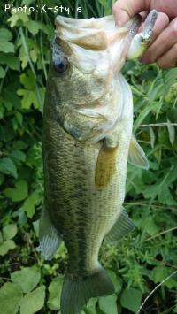 �֥�å��Х���