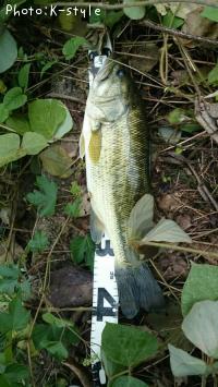 �֥�å��Х���