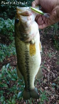 �֥�å��Х���