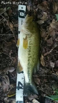 �֥�å��Х���