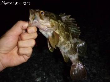 �����Υ���Х�