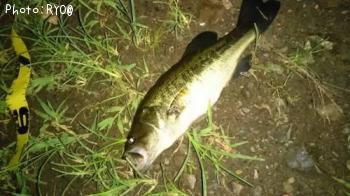 �֥�å��Х�