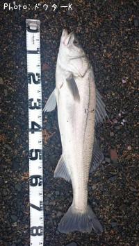 �����Х�