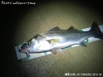 �����Х�