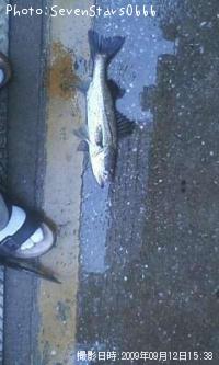 �����Х�